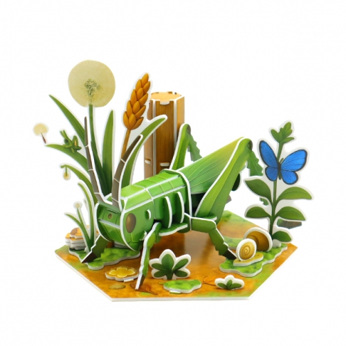 모또 육각 곤충 메뚜기 만들기