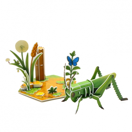 모또 육각 곤충 메뚜기 만들기