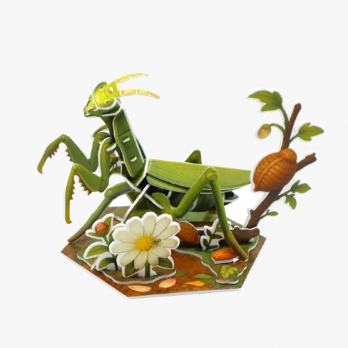 모또 육각 곤충 사마귀 만들기