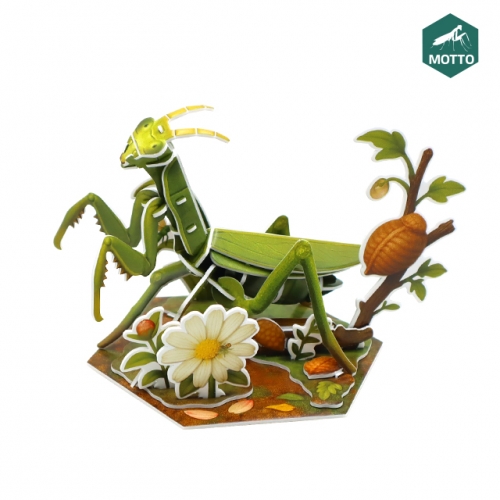 모또 육각 곤충 사마귀 만들기