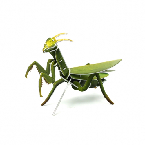 모또 육각 곤충 사마귀 만들기