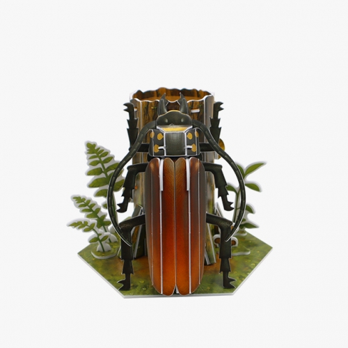 모또 육각 곤충 장수하늘소 만들기