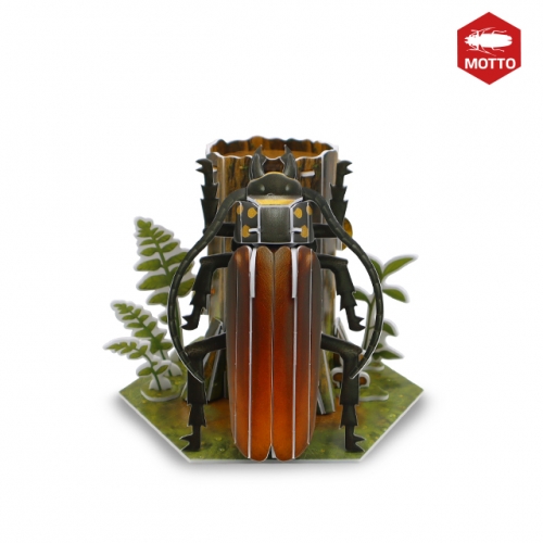 모또 육각 곤충 장수하늘소 만들기