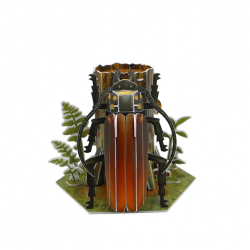 모또 육각 곤충 장수하늘소 만들기