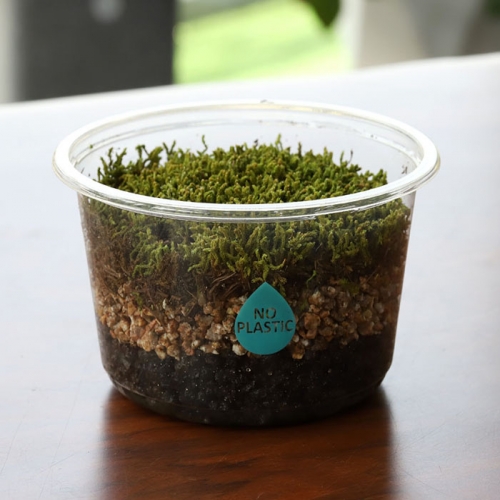 꽃집사의 이끼정원