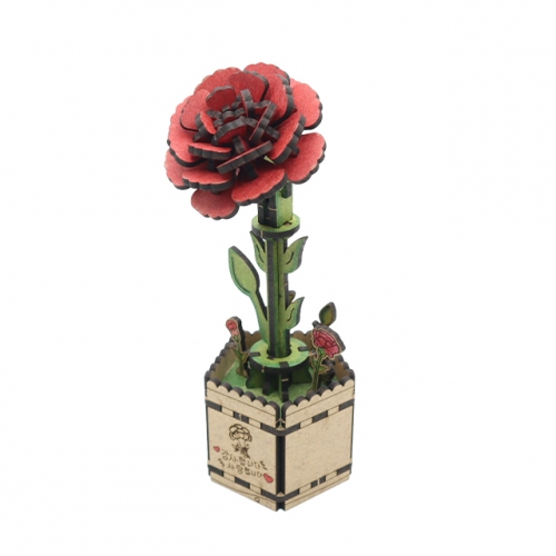 모또 나무 카네이션