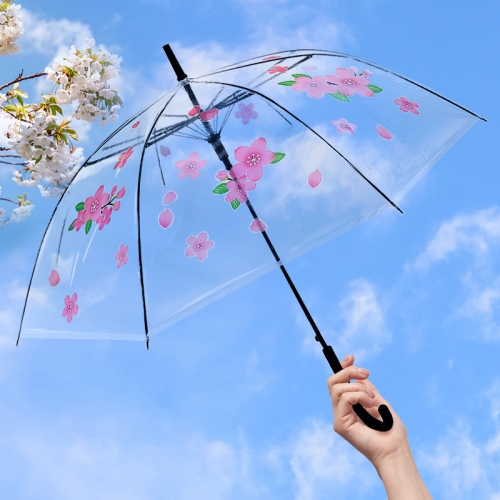 [탑키드] 봄 벚꽃 투명 우산 꾸미기(투명 방수 스티커 포함)