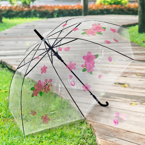 [탑키드] 봄 벚꽃 투명 우산 꾸미기(투명 방수 스티커 포함)