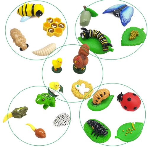 ������ �ϱ� ���� �ڿ� ���� ���� ���� ���� ���� ���� ���� 5�� 20p ������ ��Ʈ