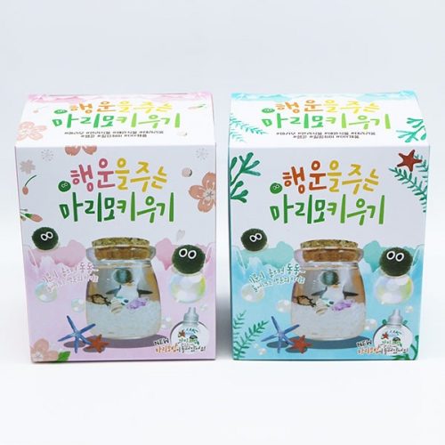 행복을주는 마리모키우기