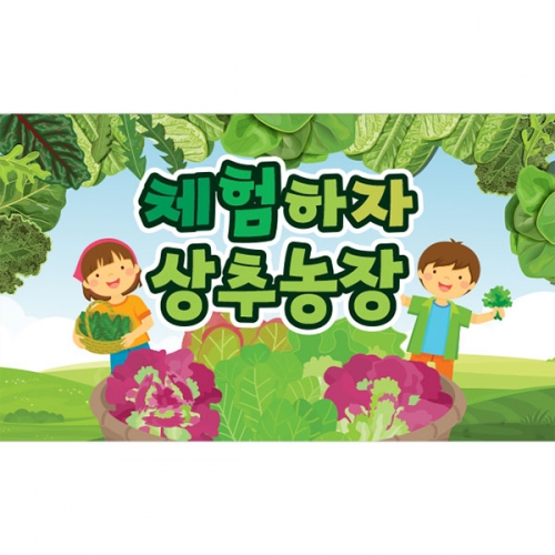 [파티붕붕] D3202 상추놀이 현수막 / 어린이집 유치원 텃밭 가꾸기 요리 체험학습 플랜카드