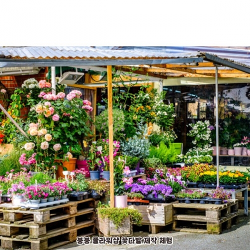 [��Ƽ�غ�] D4422 ������� ������ / �ɰ��� ���� ������ �ö���� ��� ������ ����