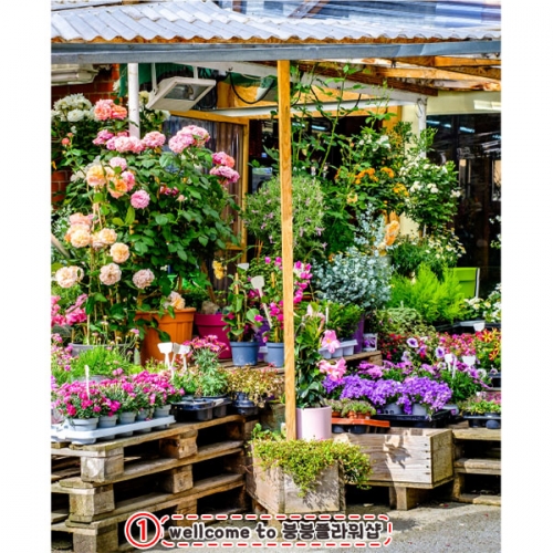 [파티붕붕] D4422 시장놀이 현수막 / 꽃가게 꽃집 현수막 플라워샵 배경 포토존 제작