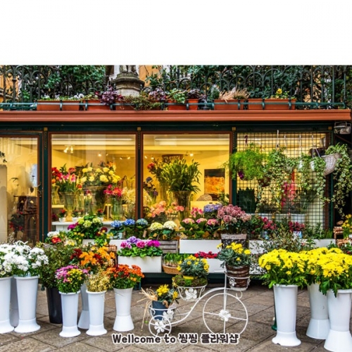 [��Ƽ�غ�] D4421 ������� ������ / ��ġ�� ����� ���� �ɰ��� ������ ������ ����