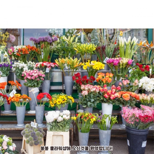 [��Ƽ�غ�] D4412 ���ҳ��� ������ / ����� ��ġ�� �ɰ��� ���� ��� ������ ����