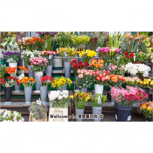 [파티붕붕] D4412 역할놀이 현수막 / 어린이집 유치원 꽃가게 꽃집 배경 현수막 제작