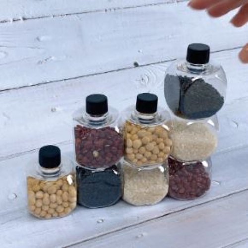 �����ī��(4��1��Ʈ)