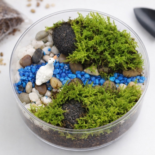 깃털이끼 테라리움