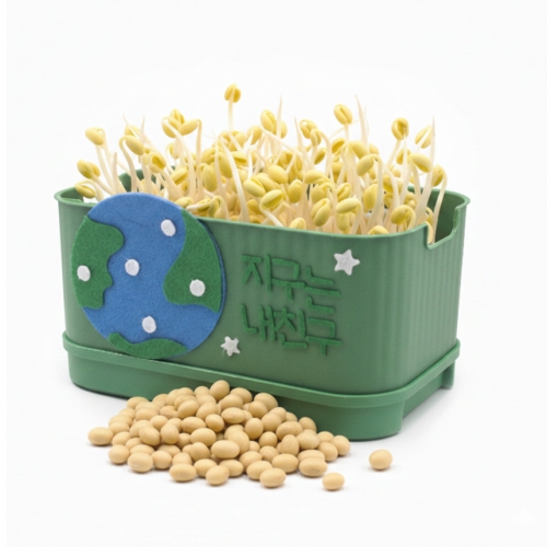 콩나물 키우기 키트 사각시루