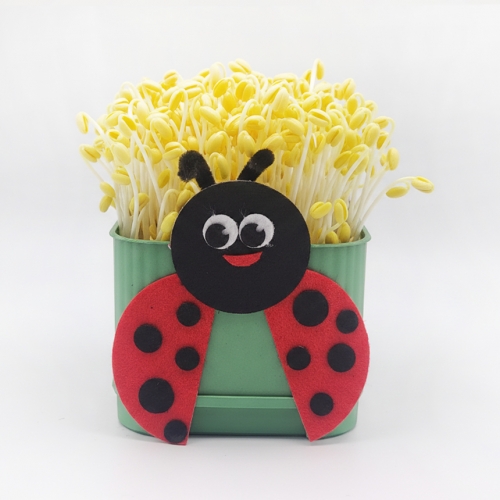 콩나물 키우기 키트 사각시루