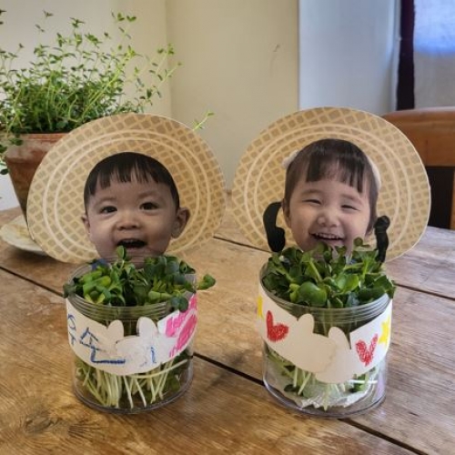 식목일 농부화분심기(수경식물)