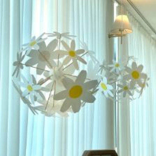 ������ ���(1��)