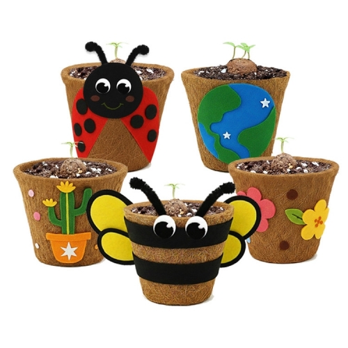 뚝딱 틔움 씨드볼 코코넛 화분 꾸미기