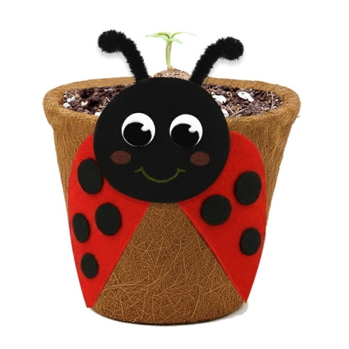 뚝딱 틔움 씨드볼 코코넛 화분 꾸미기