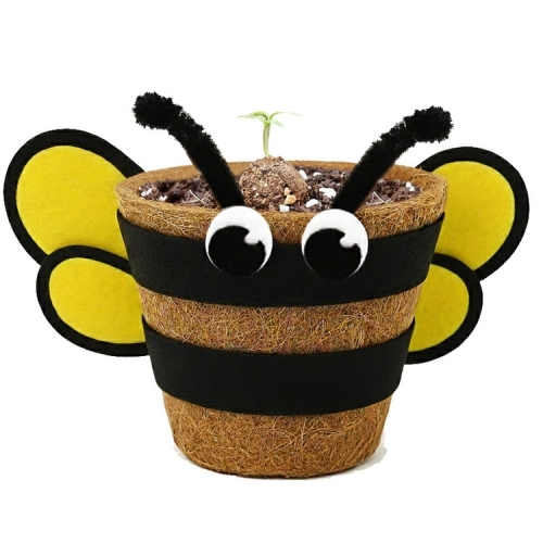 뚝딱 틔움 씨드볼 코코넛 화분 꾸미기