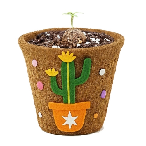 뚝딱 틔움 씨드볼 코코넛 화분 꾸미기