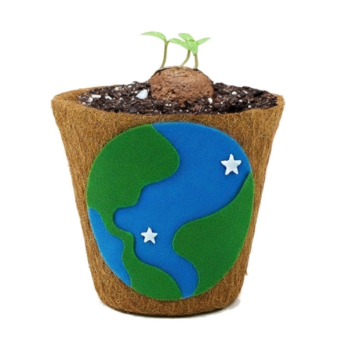 뚝딱 틔움 씨드볼 코코넛 화분 꾸미기