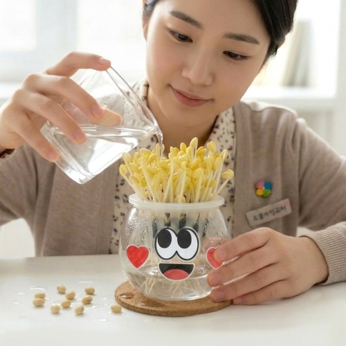 전통갓 콩나물 키우기 체험 키트 어린이 식물 재배 현장 학습 세트