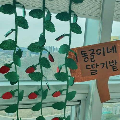 딸기밭 딸기수확