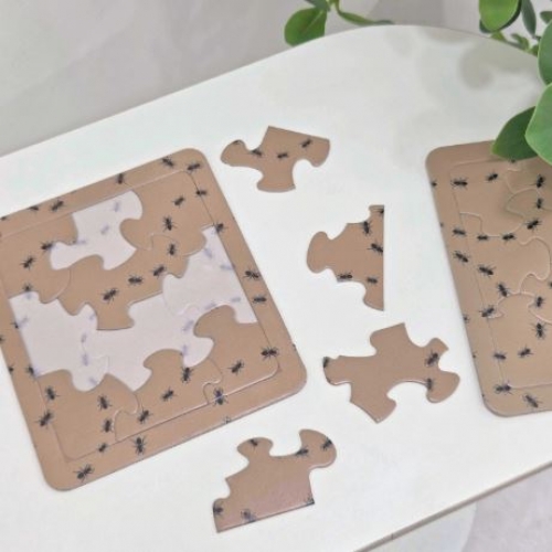 ���̱� ����