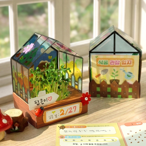 새싹 키우기 미니가든 5set (+식물일지 포함)