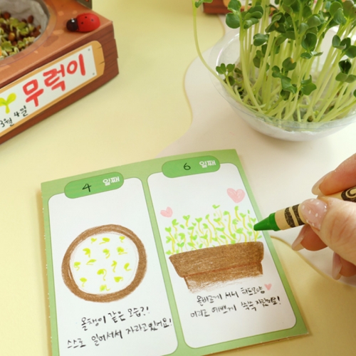 새싹 키우기 미니가든 5set (+식물일지 포함)