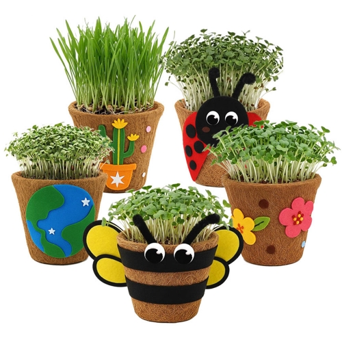 뚝딱 새싹채소 코코넛 화분 꾸미기