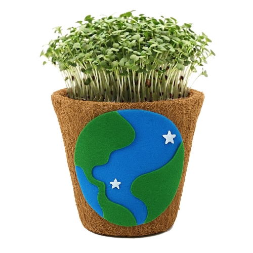 뚝딱 새싹채소 코코넛 화분 꾸미기