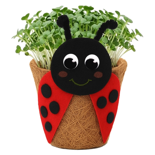 뚝딱 새싹채소 코코넛 화분 꾸미기