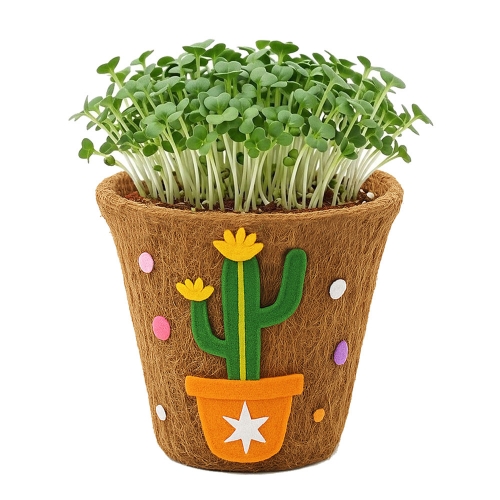 뚝딱 새싹채소 코코넛 화분 꾸미기