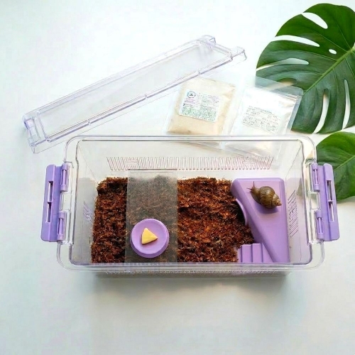 조이 클린케이지 달팽이 키우기 스카이블루 에디션 중형 세트