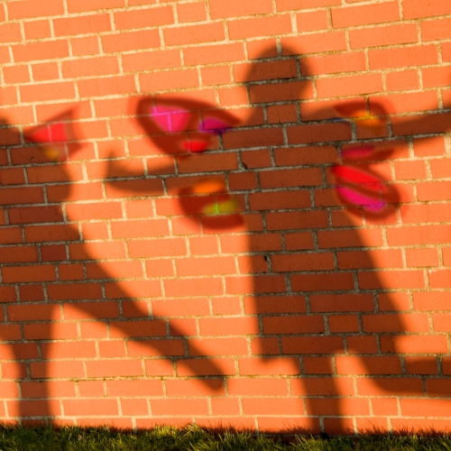 숲의요정 바람개비꽃왕관 만들기키트