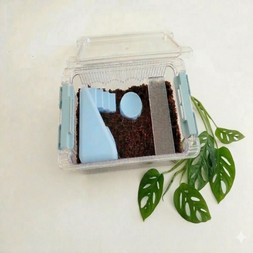 조이 클린케이지 달팽이 키우기 스카이블루 에디션 소형 세트