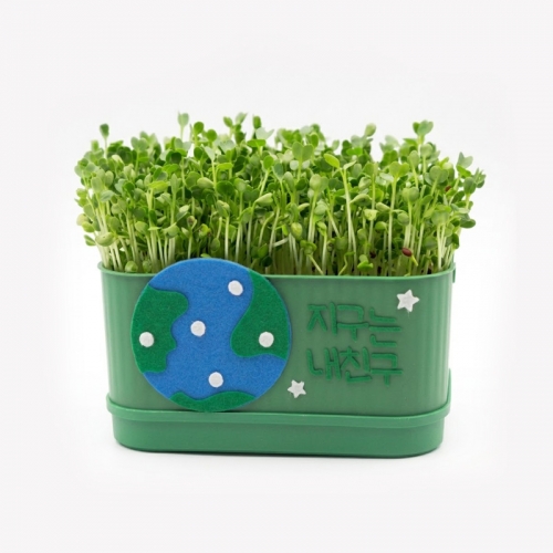 새싹 무순 키우기 키트 사각시루