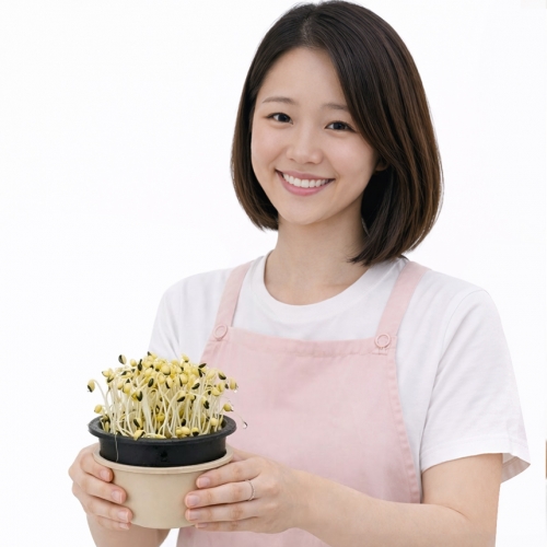 쑥쑥이 콩나물 키우기 체험 키트 어린이 식물 재배 현장 학습 세트