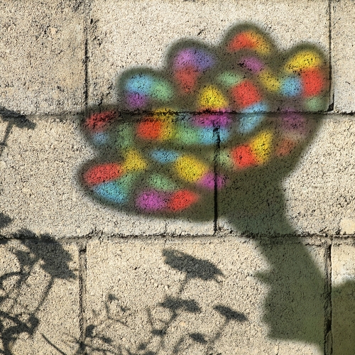 대왕 카네이션썬캐쳐 만들기