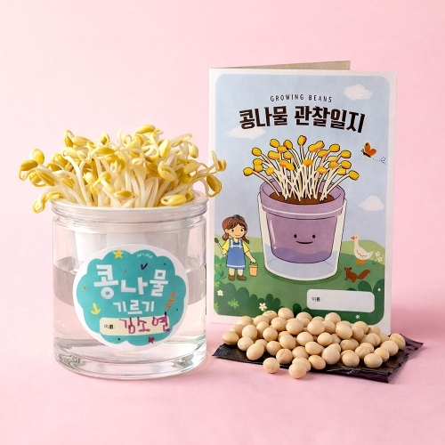 [아트랄라] 콩나물/숙주 기르기