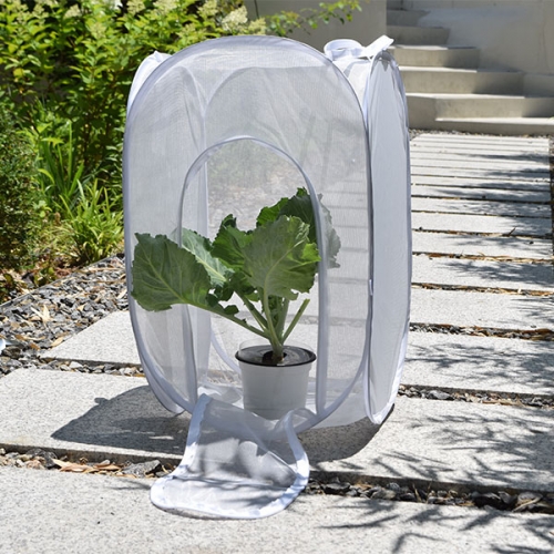 �����򳪺� Ű���(Ư����)