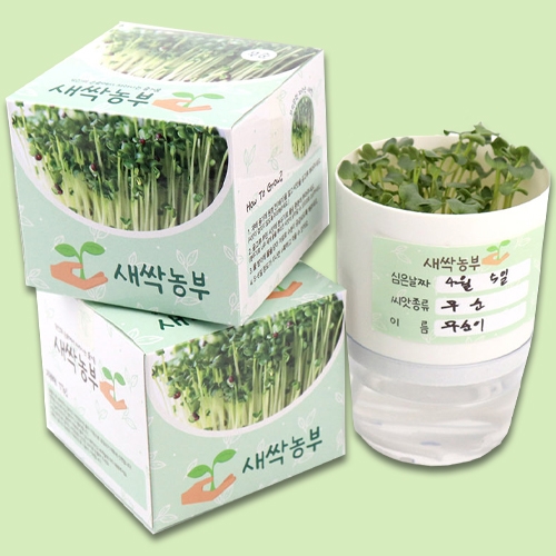 5000 새싹농부(무순)