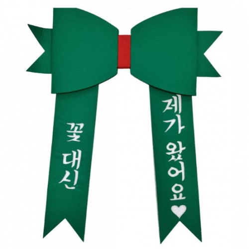 DIY �ʷ� �񸮺�(����)